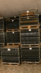 Bottles of wine ready for export