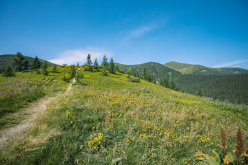 incredibly beautiful landscapes of mountain heights. mountain trip in Ukraine