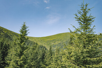 Obraz premium mountain landscapes and beautiful green mountains.