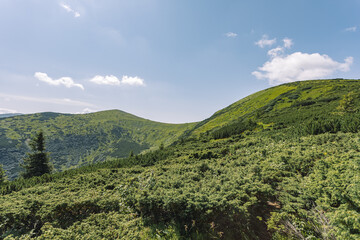 mountain landscapes and beautiful green mountains.