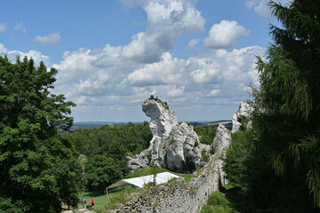 Smocza skamielina © Maciej