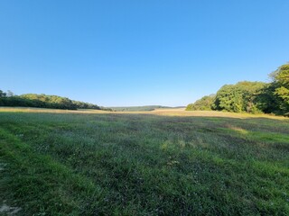 Paysage été