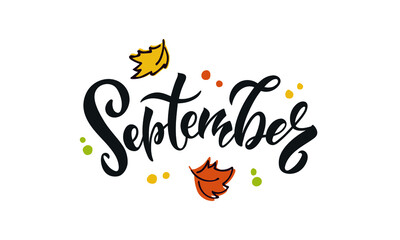 Obraz premium September handwritten text and falling leaves isolated on white background. Vector illustration as poster, postcard, invitation. Modern brush calligraphy, hand lettering. Season's greeting