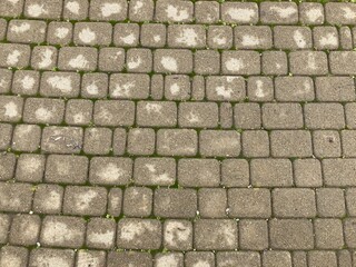 Texture of wet paving slabs. Close up of sidewalk after rain.