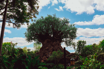 tree in the forest