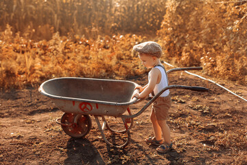 child playing with a wheelbarrow, child playing in the park, autumn