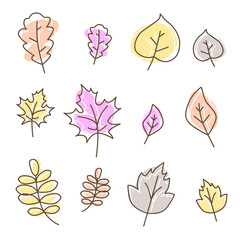 vector autumn pattern leaf warm