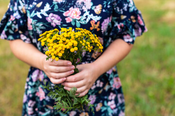 A bouquet of yellow wildflowers in the hands of a girl. Hands close-up. The girl is dressed in a blue dress. She's standing in a field. Summer and the sun