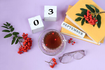  Calendar for September 3 : the name of the month in English, cubes with the numbers 0 and 3, a stack of books, mountain ash branches, a cup of tea , glasses for vision on a pastel background