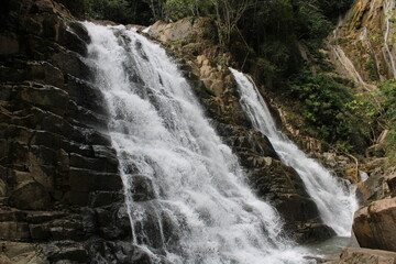 waterfall in the forest