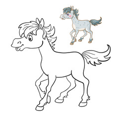 Little funny curious horse.  Black and white picture for coloring book with a colorful example. In cartoon style. Isolated on white background. Vector illustration.