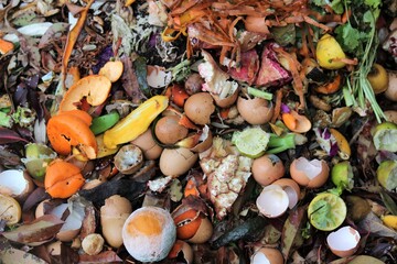 Backyard composting with layers of organic matter 