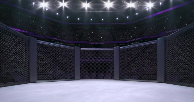 In the fighting cage. Animation of sport arena with fans and shining spotlights. Looped sport 4k video background.	
