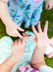 Child holds snail in hand. Child explores snail with snail shell. Kind hält Schnecke in der Hand. Kind erforscht Schnecke mit Schneckenhaus.