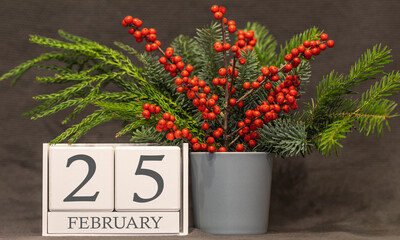 Memory and important date February 25, desk calendar - winter season.