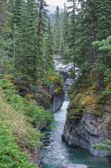 The Rushing Waters in Maligne Canyon