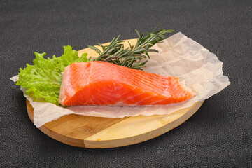 Piece of raw salmon