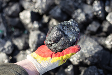 A piece of coal in a man's hand. Fossil fuels for home heating.
