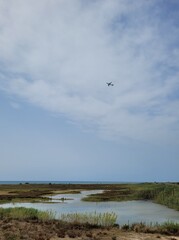 Avión sobrevolando un lago. Espacio para texto. 