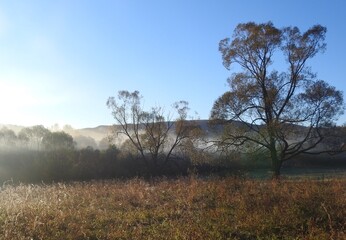 Autumn mists