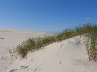 sand dunes in the desert - obrazy, fototapety, plakaty
