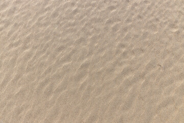 the texture of sand in the form of waves on a river beach