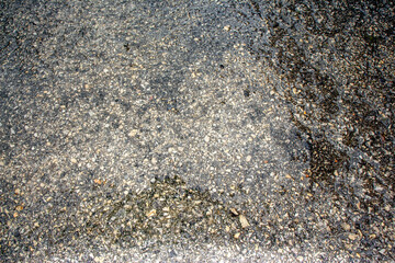 Dark gray grainy texture of asphalt after rain