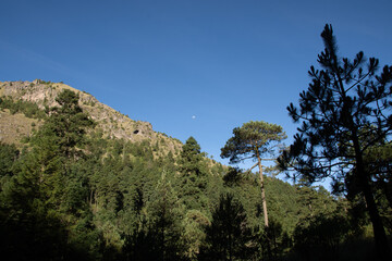 Ajusco