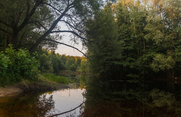 Fototapeta na wymiar Moscow oblast, Russia. Little lake in Noginsk areа. Reflections in water.Trees bent over the water