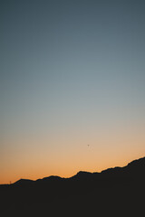 Lonely bird flying above the hills during sunset