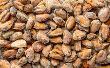 Frozen peeled mussel meat as background for seafood recipes. Iced cooked mussels texture for omega-3 protein healthy eating. Shellfish for mediterranean food design element.