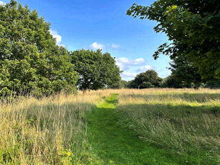 Footpath through the fields, late afternoon near, Saltaire, Bradford, UK
