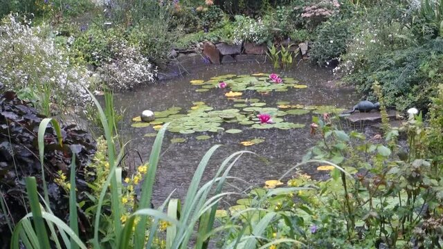 heftiger Sommer-Regenschauer prasselt auf den Gartenteich