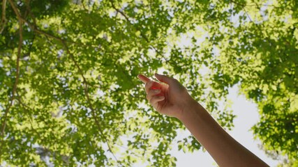 hand reaching for sunlight touching sun shining between fingers catching sunshine in forest woods