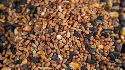 Seeds for feeding birds, on black background	