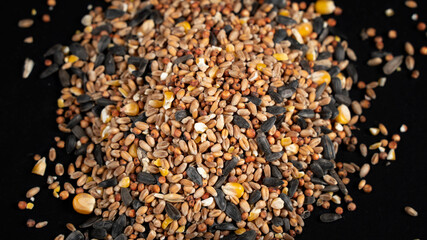 Seeds for feeding birds, on black background	
