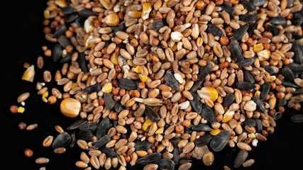 Seeds for feeding birds, on black background	