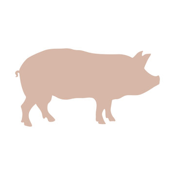 Pig silhouette vector illustration. Realistic pink pig symbol icon isolated on white background
