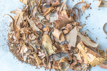White birch bark with black stripes cut off, separated, peeled from wood lies rounded on a white background. The removed top layer of birch bark different sizes. Bark shavings