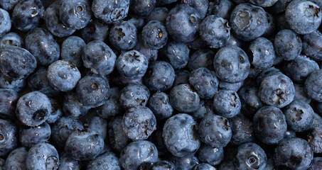Blueberry background. Banner. Ripe fresh berries closeup. Blueberries pattern.