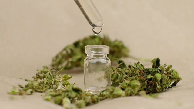 dry marijuana bud and pipette drops dripping into the bottle with medical cbd oil close up. High quality FullHD footage