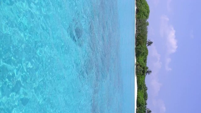 Coconut palm trees on caribbean island. Summer Vacations. Travel destinations. View from yacht. Vertical format video