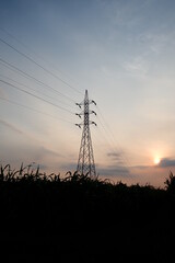 power lines in sunset