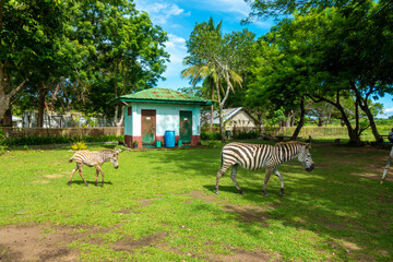 フィリピン、パラワン州のブスアンガ島コロン島周辺の観光名所を旅行する風景 Scenes from a trip around Coron Island, Busuanga, Palawan, Philippines.