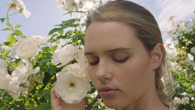 beautiful woman smelling roses in blossoming rose garden enjoying natural scent 
