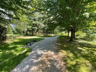 path in the woods