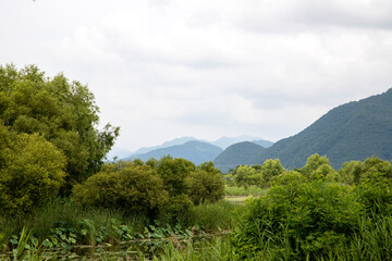 Obraz premium 물의 정원