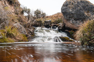 Obraz premium River in the mountains of the Andes between grasslands, grass typical of the páramo. Small vegetation is observed at the beginning of the river and leafy as the mountain range descends.
