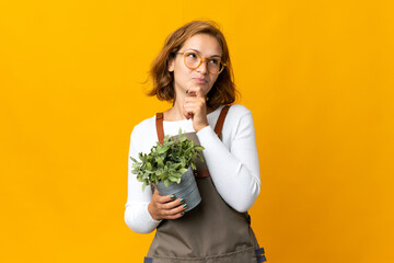 Young Georgian woman holding a plant isolated on yellow background and looking up