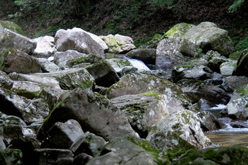 渓流　赤目の四十八滝